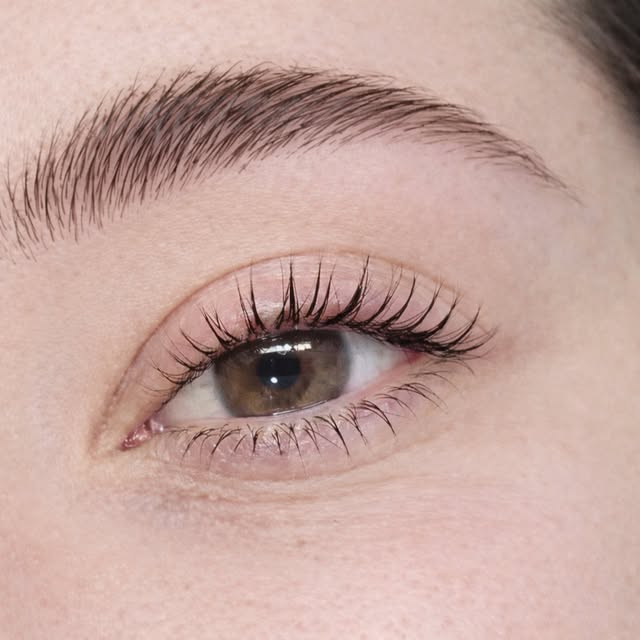 Cejas laminadas